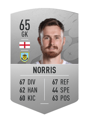 Will Norris