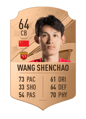 Wang Shenchao