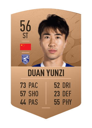 Duan Yunzi