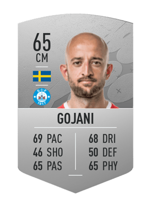 Robert Gojani