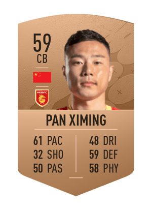 Pan Ximing