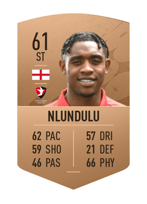 Dan Nlundulu