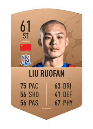 Liu Ruofan
