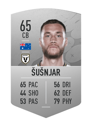 Aleksandar Šušnjar