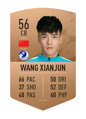 Wang Xianjun