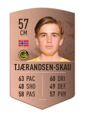 Ask Tjærandsen-Skau