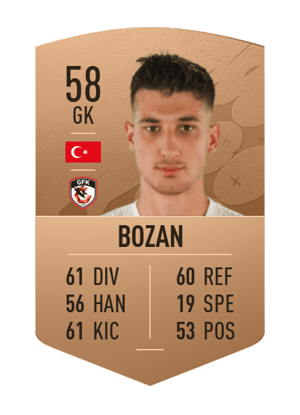 Mustafa Burak Bozan