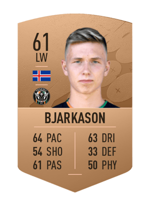 Bjarki Steinn Bjarkason