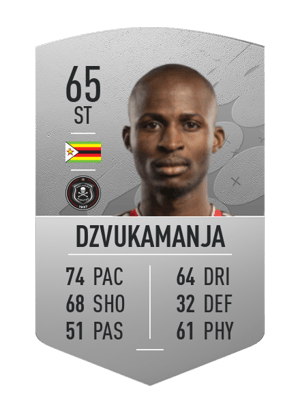 Terrence Dzvukamanja