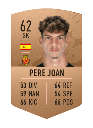 Pere Joan
