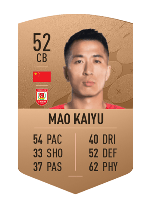 Mao Kaiyu