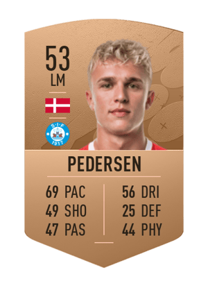 Niclas Holm Pedersen