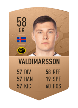 Hakon Valdimarsson