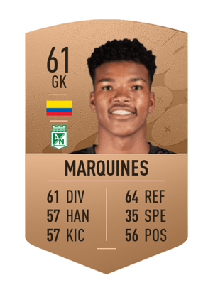 Luis Miguel Marquines