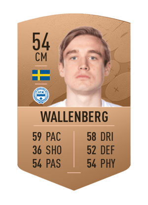 Nils Wallenberg