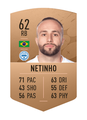 Netinho