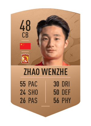 Zhao Wenzhe