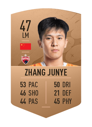 Zhang Junye
