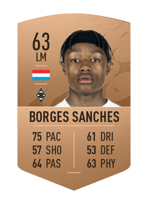 Yvandro Borges Sanches