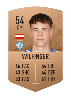 Fabian Wilfinger