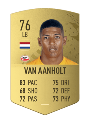 Patrick van Aanholt