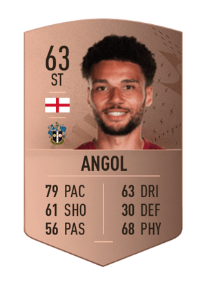 Lee Angol