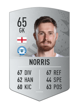 Will Norris