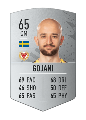 Robert Gojani
