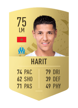 Amine Harit