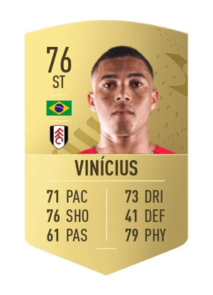 Vinícius