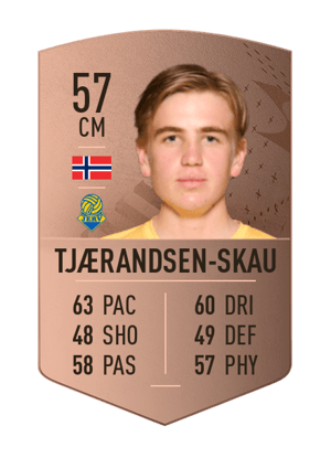 Ask Tjærandsen-Skau