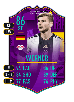 Werner - 86 - Road to World Cup