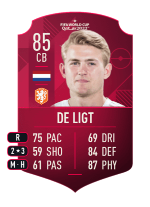 Matthijs de Ligt