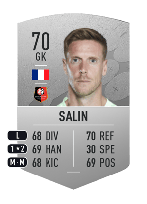 Romain Salin