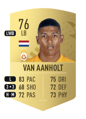 Patrick van Aanholt