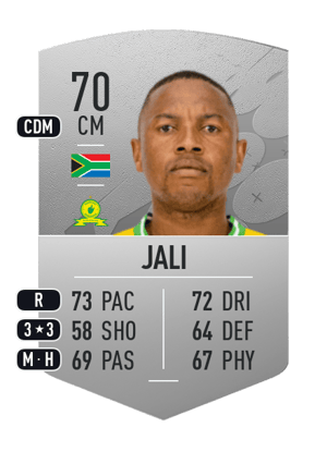 Andile Jali