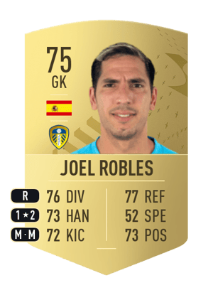 Joel Robles