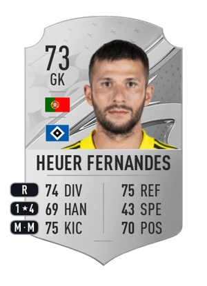 Daniel Heuer Fernandes