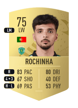 Rochinha