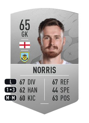 Will Norris