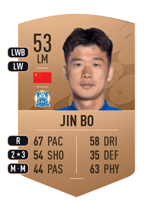 Jin Bo