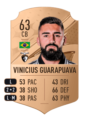 Vinicius Guarapuava