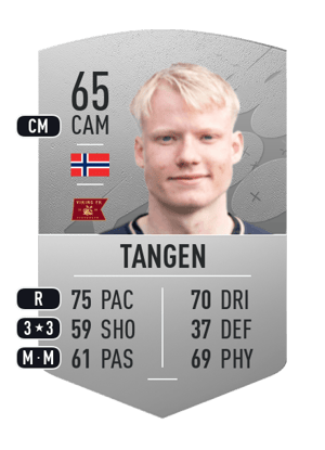 Harald Nilsen Tangen