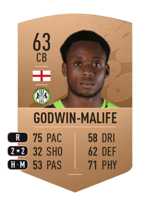 Udoka Godwin-Malife