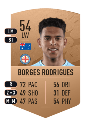 Raphael Borges Rodrigues