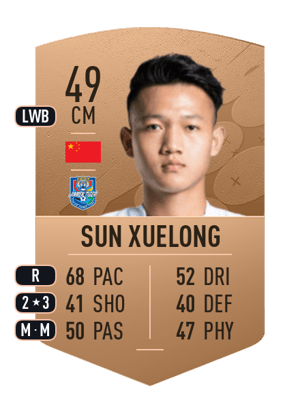 Sun Xuelong