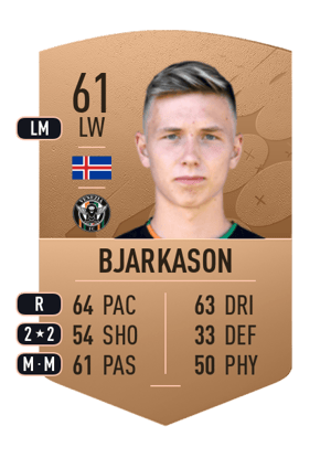 Bjarki Steinn Bjarkason