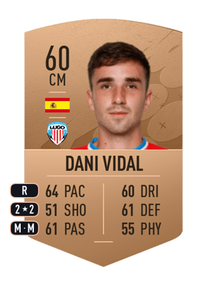 Dani Vidal