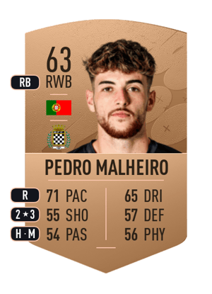Pedro Malheiro