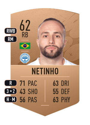 Netinho